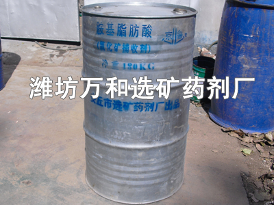 氨基脂肪酸 氨基脂肪酸